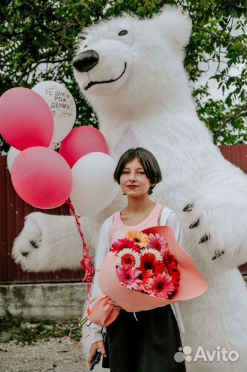 Белый Медведь Панорамычь поздравление Аниматор