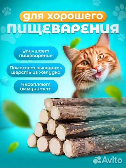 Палочки мататаби для кошек с кошачьей мятой