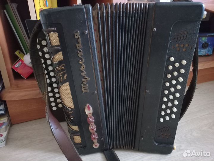 Гармонь тульская