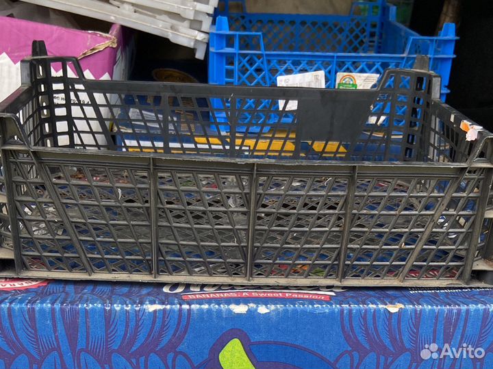 Продам грибные ящики