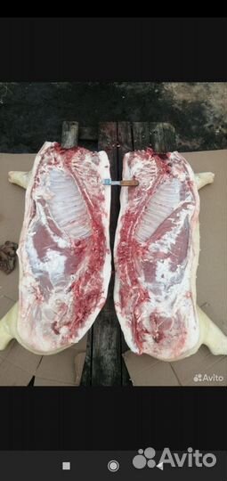 Мясо домашней свинины