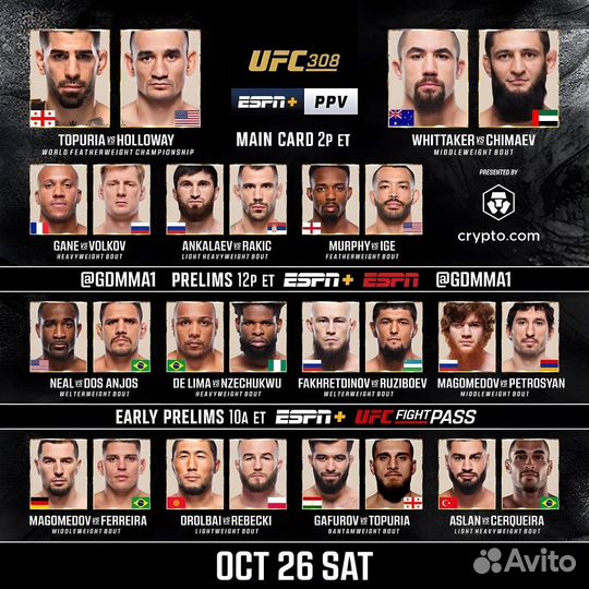 Ufc 308 билеты