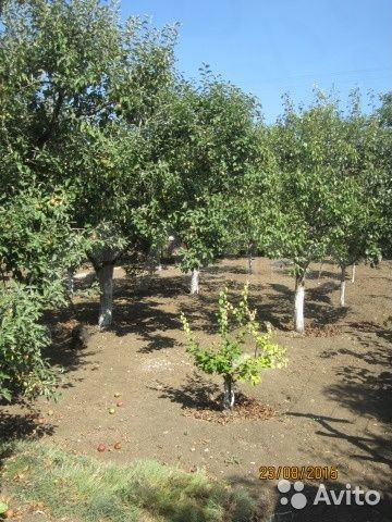 Дача 25 м² на участке 6 сот.