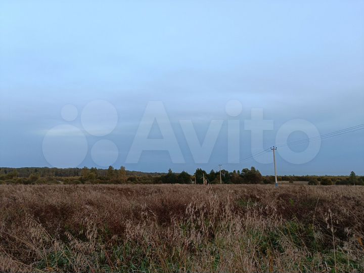 Участок 3,94 га (СНТ, ДНП)