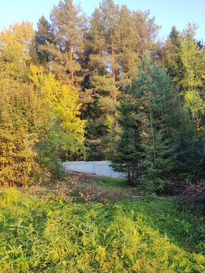 Дом 80 м² на участке 11 сот.