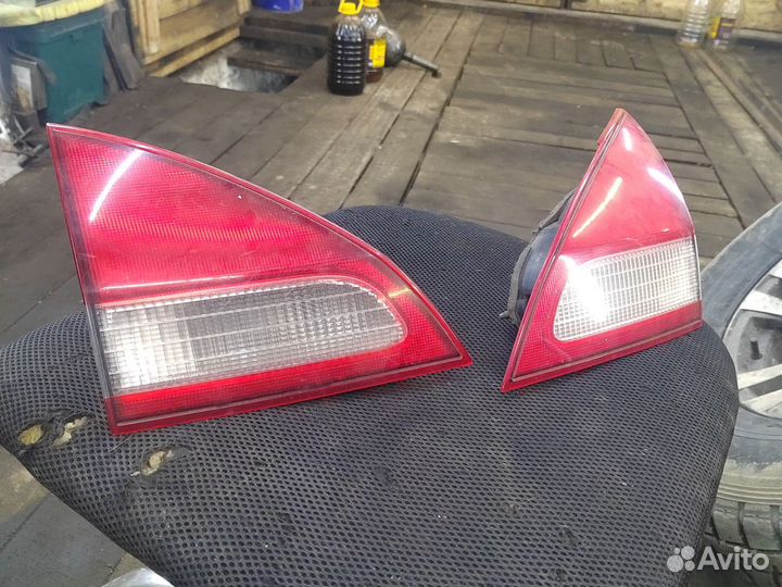 Задние стопы