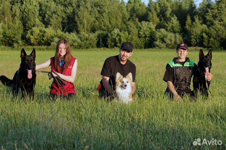 Кинолог с выездом