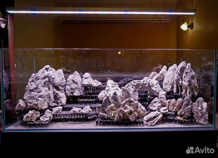 Аквариумы Дизайн обслуживание запуск аквариумов