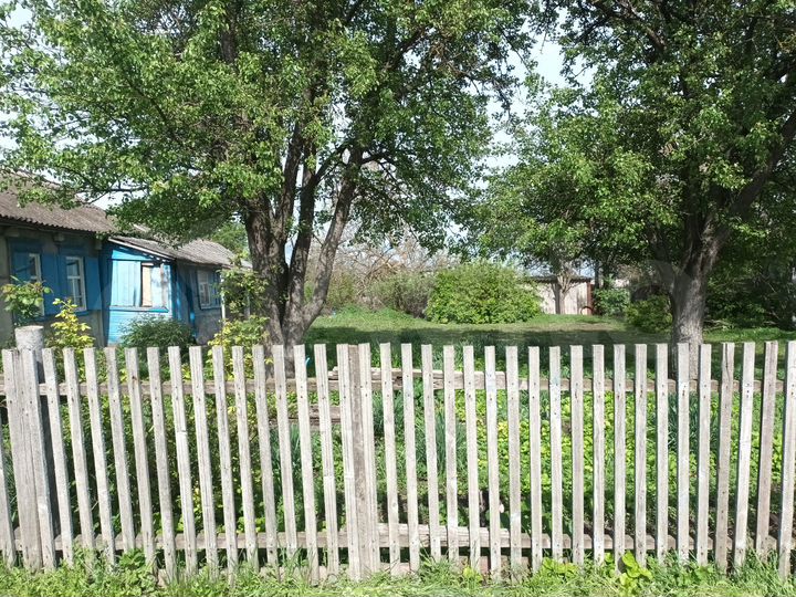 Дом 48,4 м² на участке 31 сот.