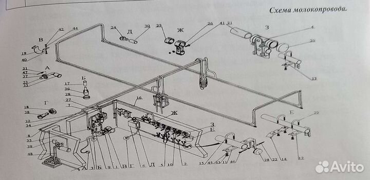 Сепаратор,молокопровод