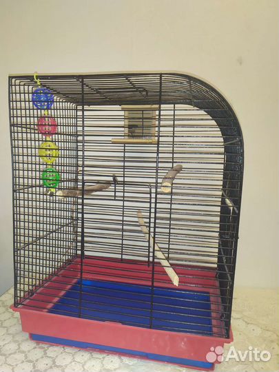 Клетка для птиц бу