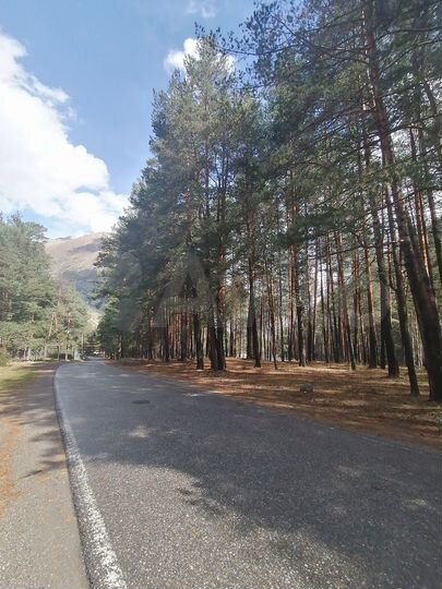 Гостиница, 805 м²