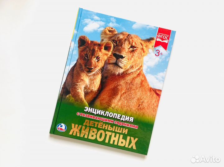 Детские энциклопедии и книги Умка. Новые