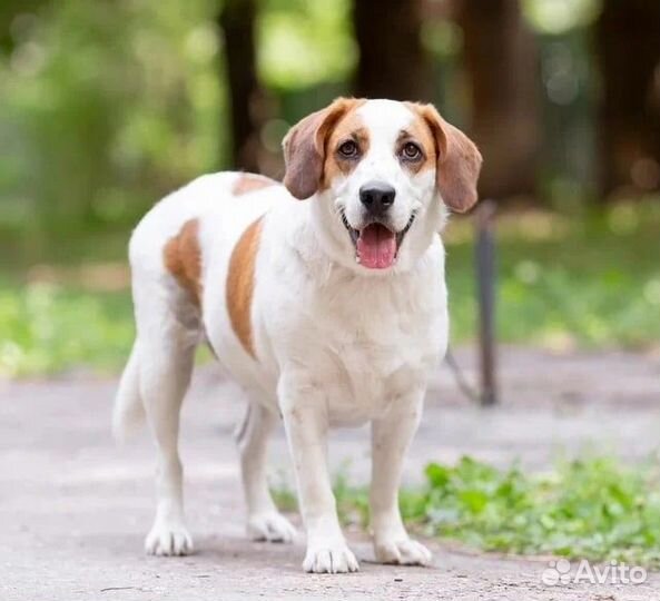 Уникальная Маруся ждет свою семью