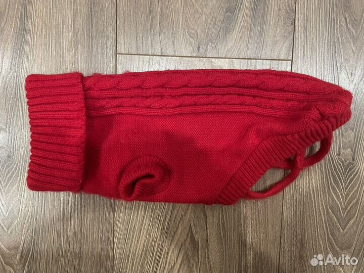 Одежда для кошек