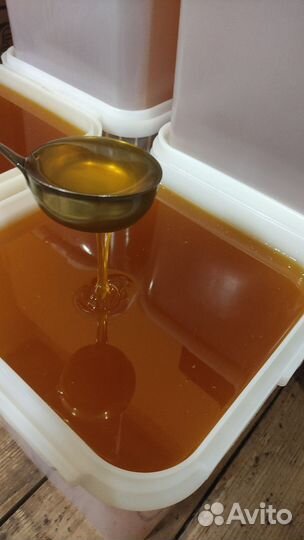 Мед натуральный. Доставка