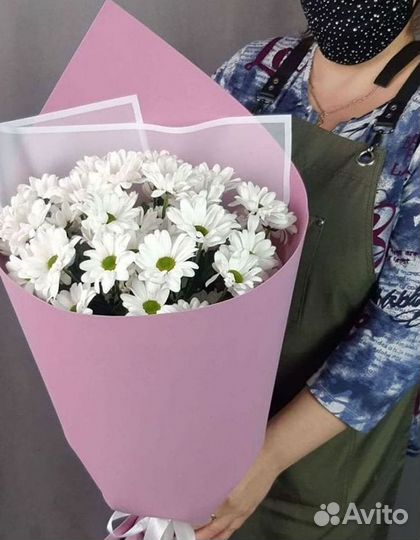 Хризантема