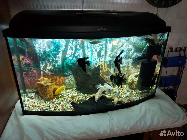 Аквариум