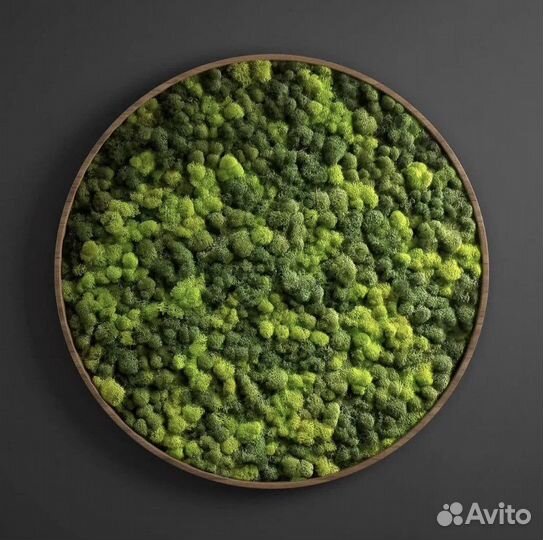 Панно и картины из стабилизированного мха