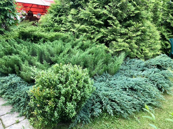 Дача 56 м² на участке 5 сот.