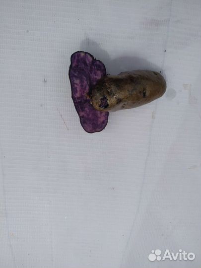 Картофель сортовой семенной