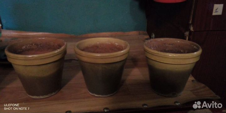 Горшки для цветов