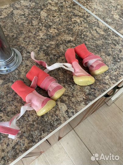 Ботинки сапоги для собак мелких