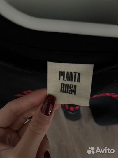 Planta rosa футболка