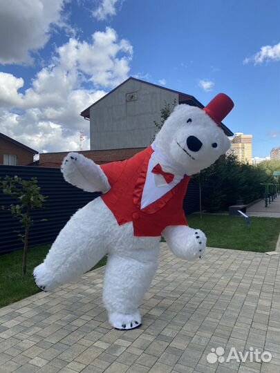 Белый мишка поздравление аниматор