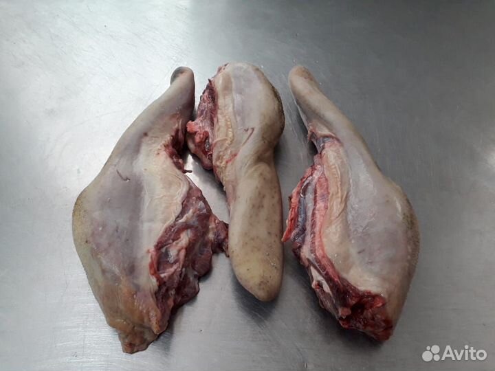 Мясо говядина оптом,Говядина вырезка, Субпродукты