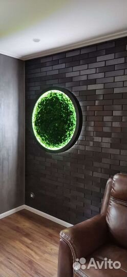 Пано из стабилизированного мха