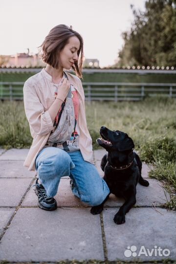 Дрессировка собак