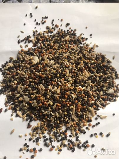 Корм для птиц