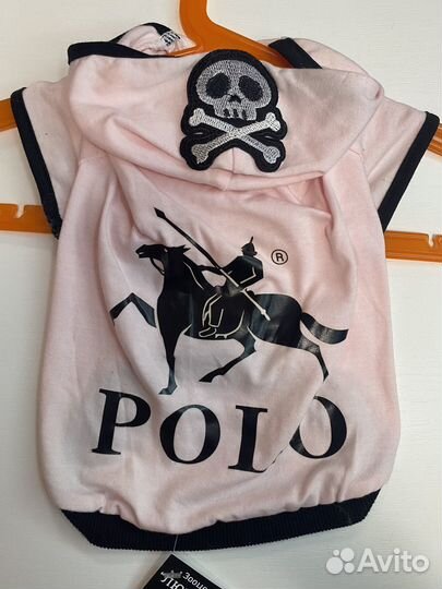 Одежда для собак