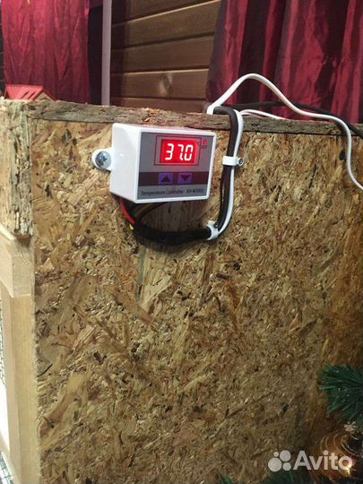 Брудер для цыплят