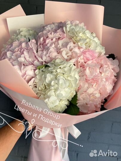 Гортензии с доставкой. Цветы Гортензии