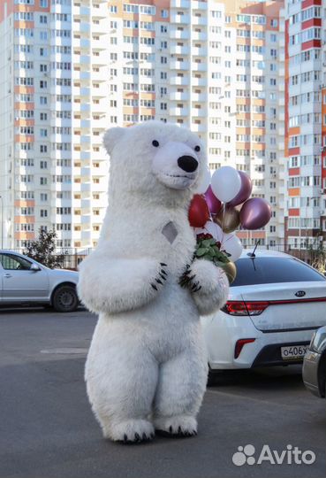 Большой белый мишка и кот. Поздравление с музыкой