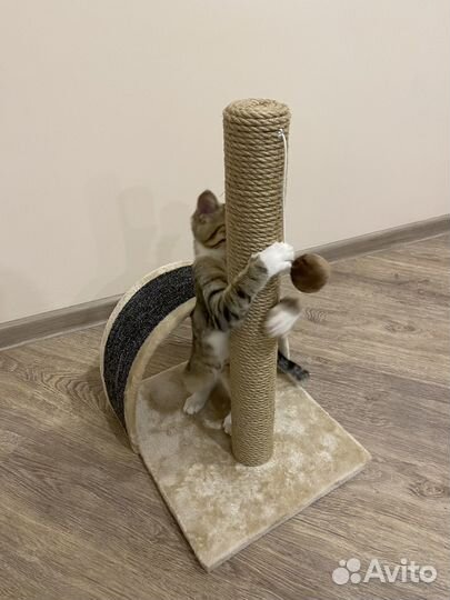 Наполнитель Глиняный - 10 шт х 4,5 л