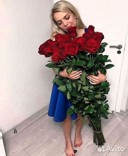 101 роза цветы букеты доставка 25 51 101 роза