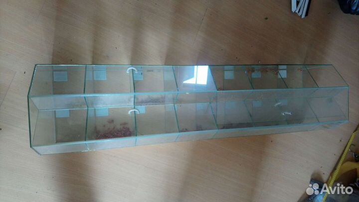 Диспенсер стеклянный под орехи, снеки