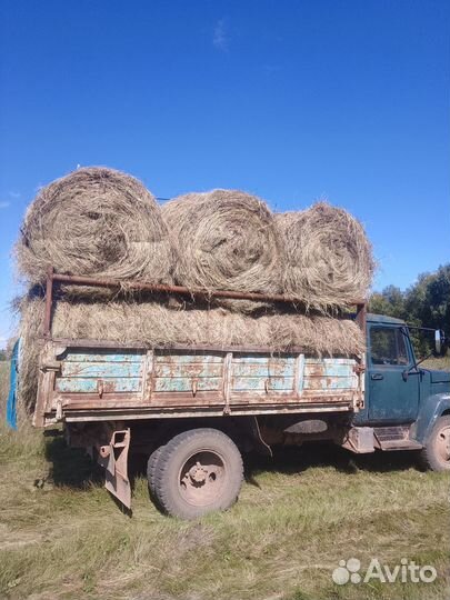 Продам сено в рулонах