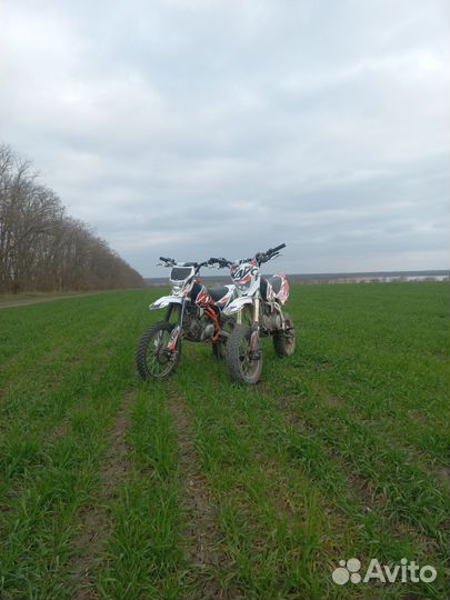 Kayo basic 140