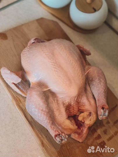 Цыплята бройлеров в ст. Старокорсунской