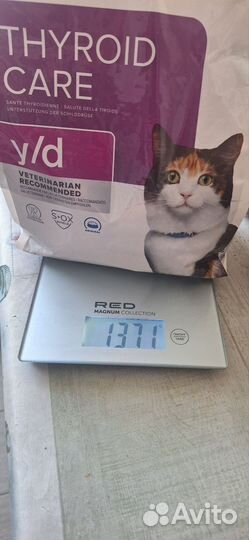 Корм для кошек