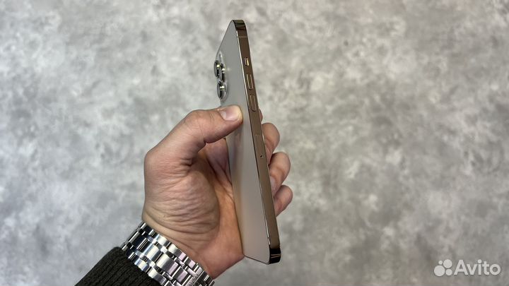 iPhone 12 Pro Max, 256 ГБ