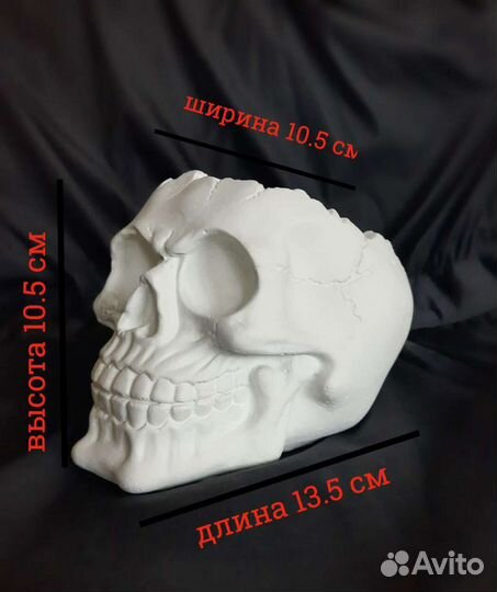 Череп кашпо