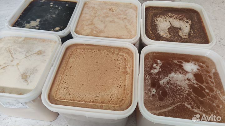 Алтайский мед 2023 г (оптом)