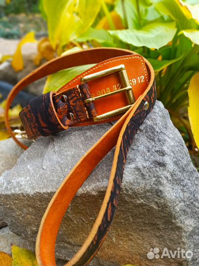 Ошейник для собаки из натуральной кожи