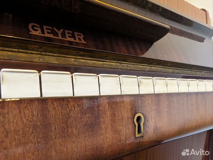 Geyer