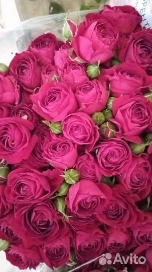 Цветы оптом